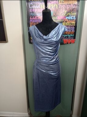 Shimmery Blue Cowl Neck Dress
